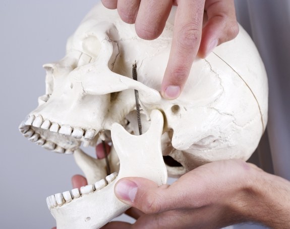 Model of jaw and skull bone used for diagnosis and treatment planning for T M J