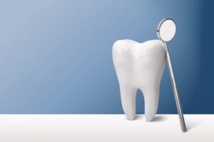 Model of tooth on a table